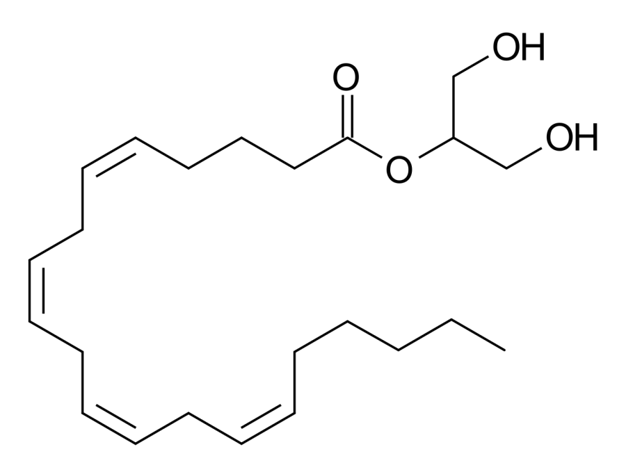 La carte 2-Arachidonylglycérol