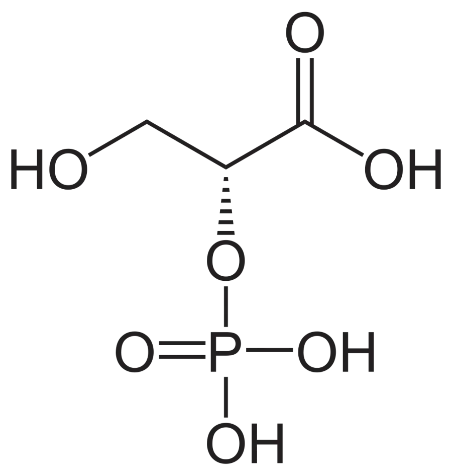 The 2-Phosphoglyceric acid card