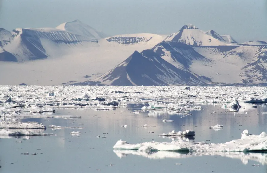 The Storfjorden card