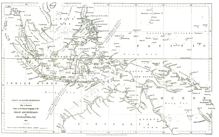La carte Ligne Wallace