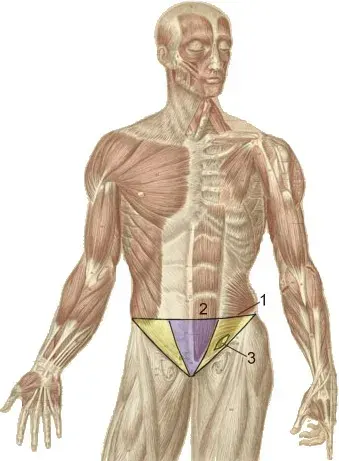 The Groin card
