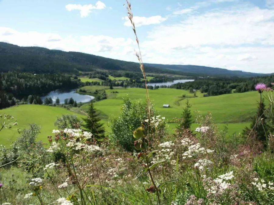 La carte Jämtland
