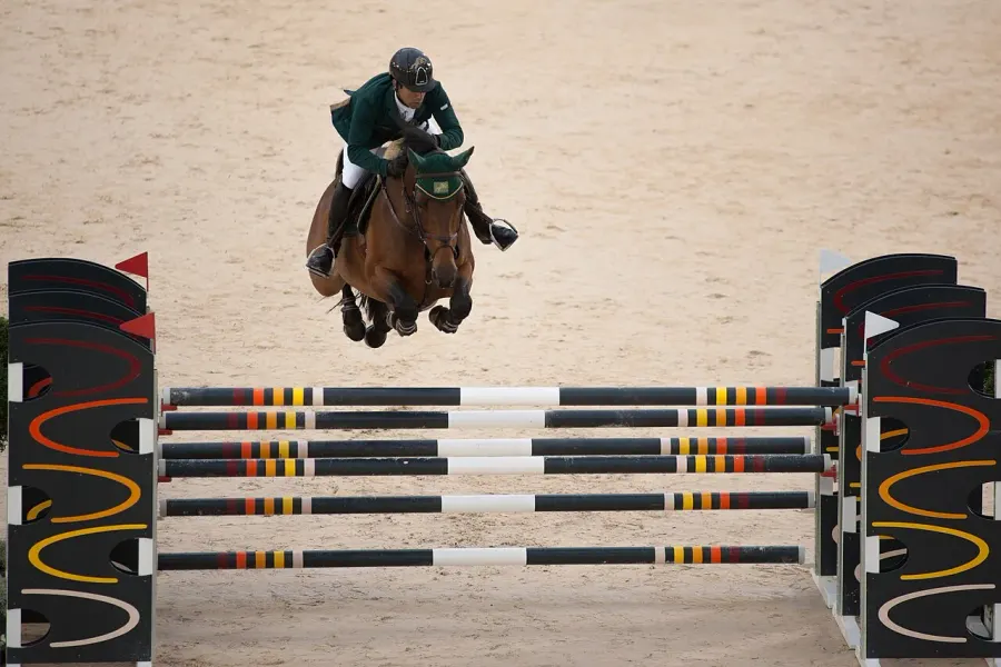 The Show jumping card