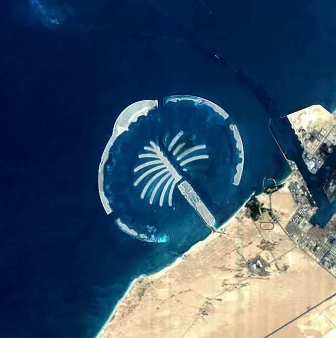 The Palm Islands card
