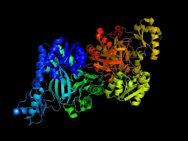 The Acetyl-CoA carboxylase card