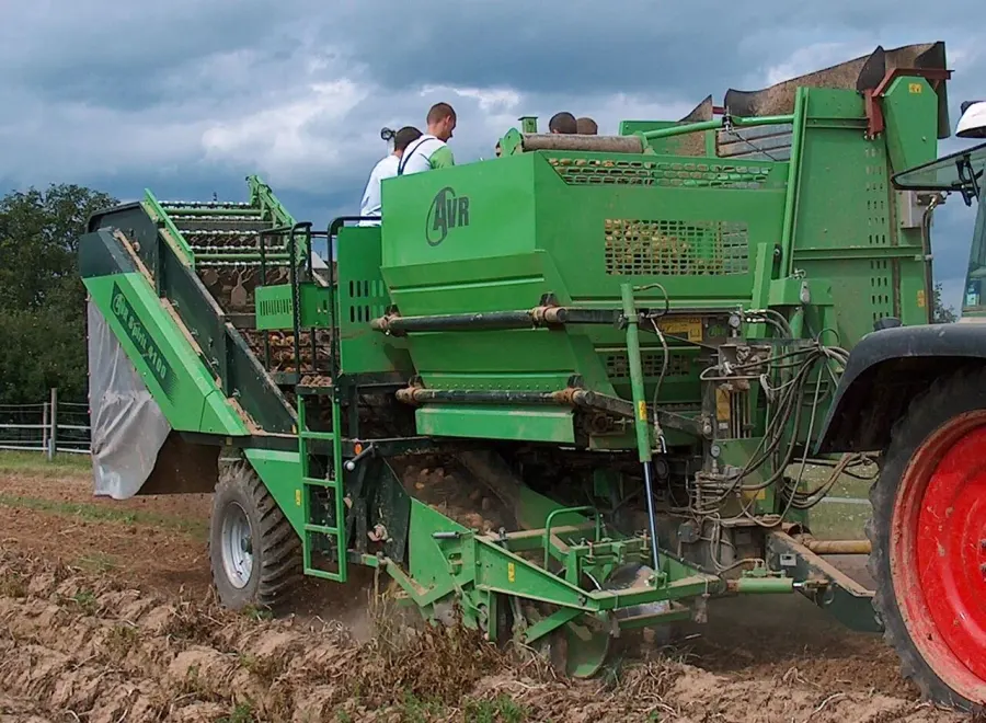The Potato harvester card