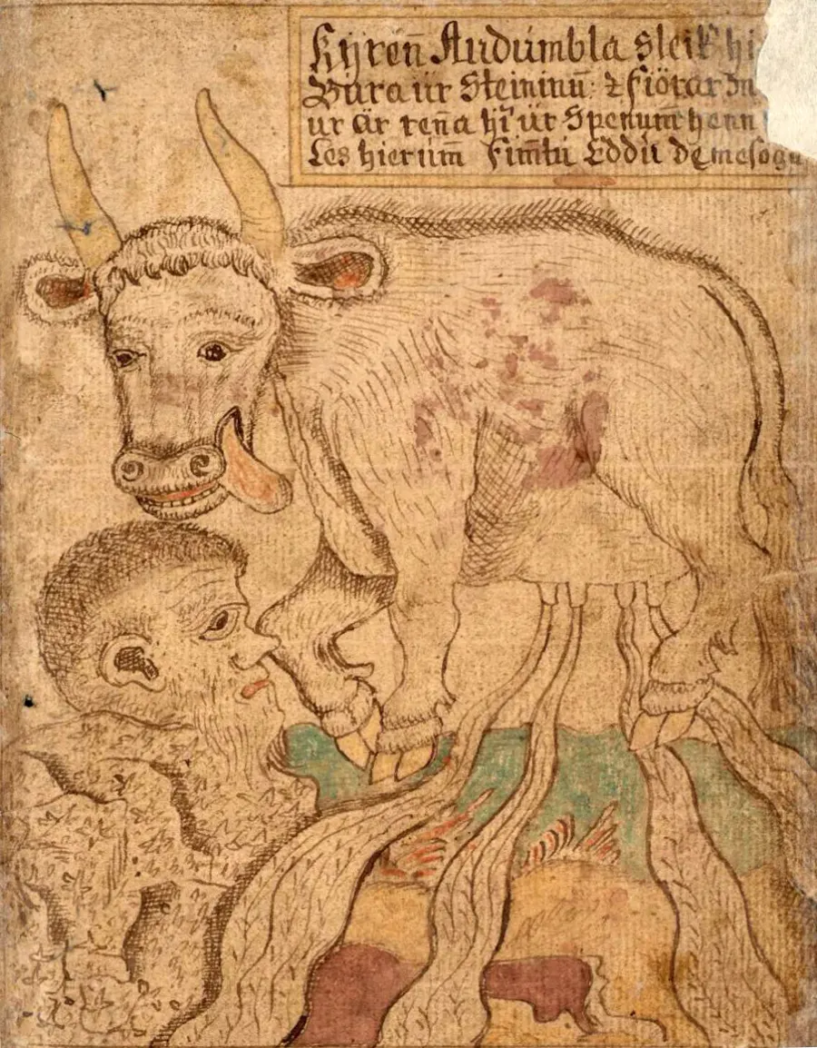 The Auðumbla card