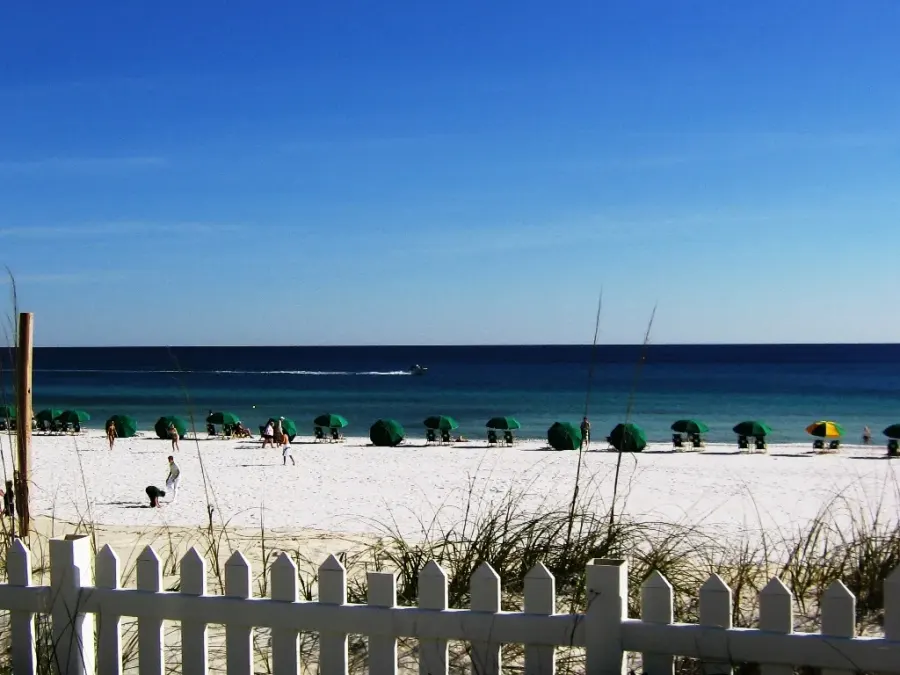 The Destin, Florida card