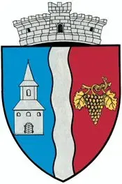 The Gornet-Cricov card