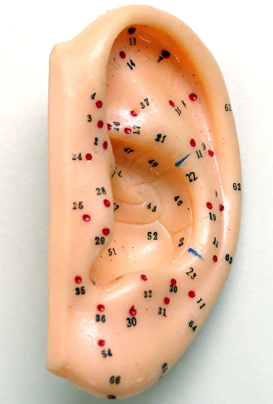 The Auriculotherapy card
