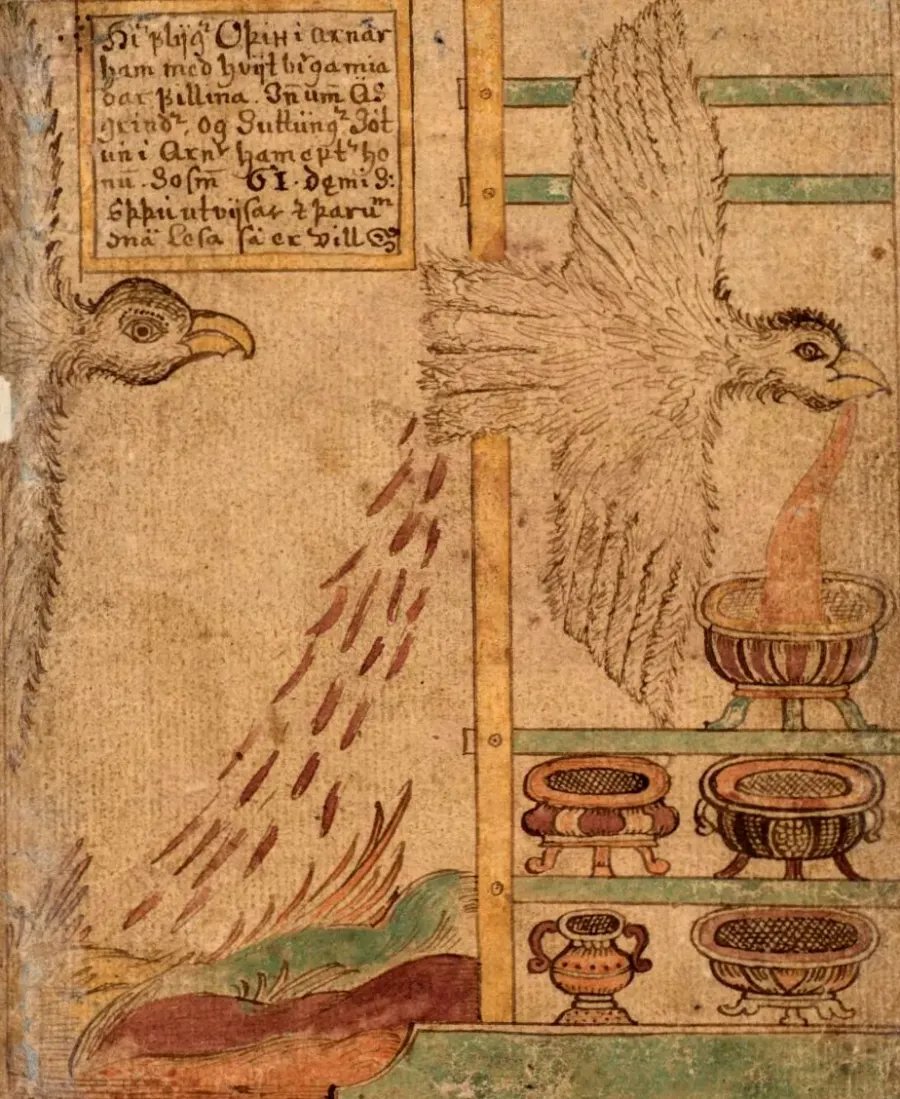 The Kvasir card