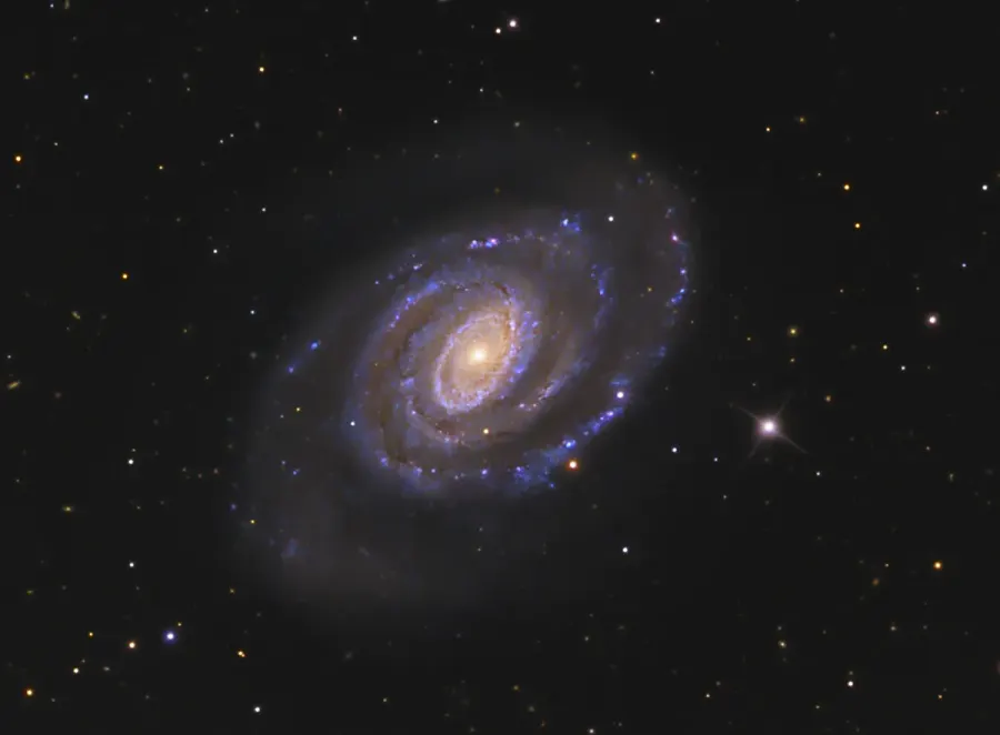La carte NGC 5364
