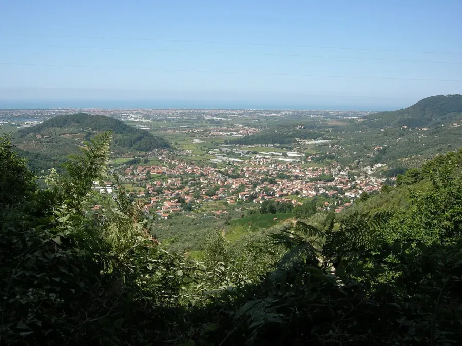 La carte Massarosa