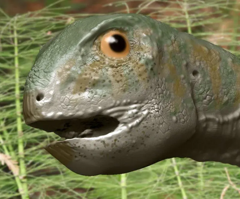 La carte Gobiceratops