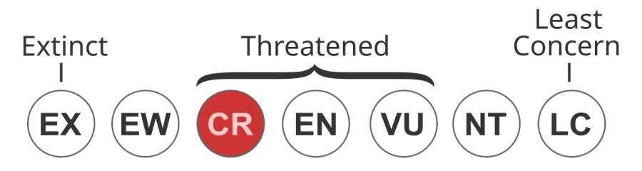 La carte Espèce en danger critique
