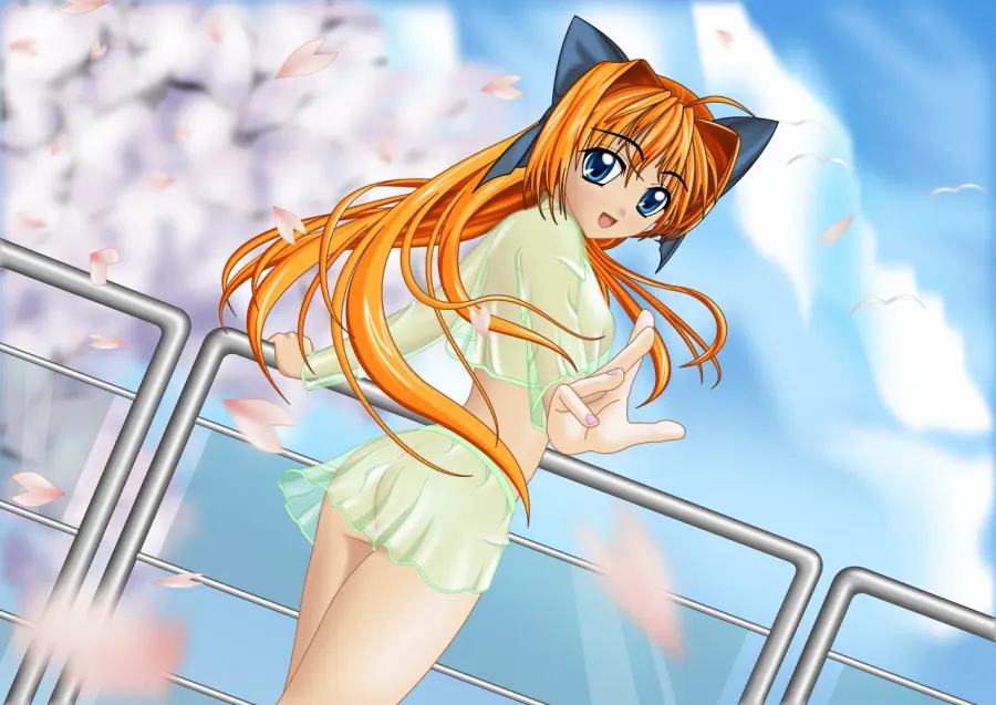 The Ecchi card