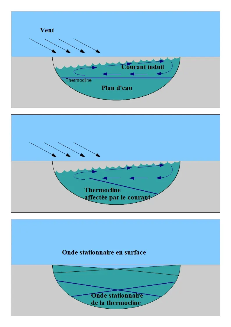 La carte Seiche