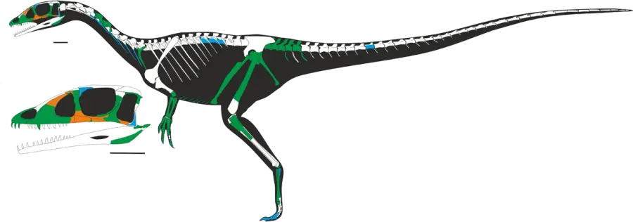 The Dracoraptor card