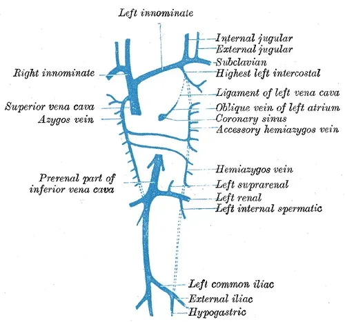 La carte Veine hémiazygos