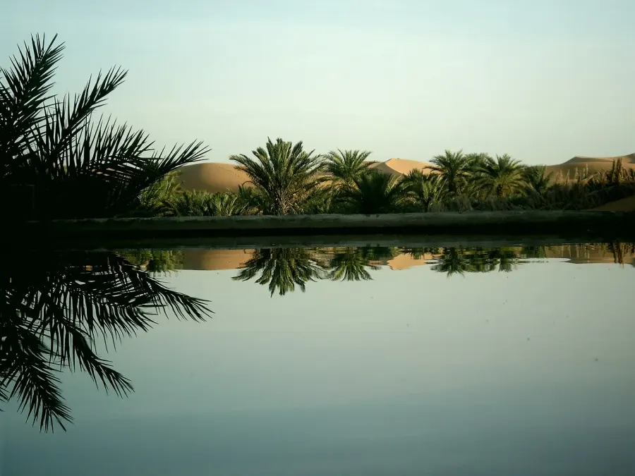 The Igli, Algeria card