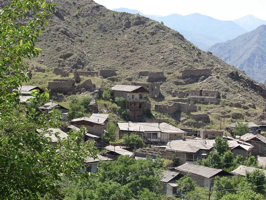 The Shvanidzor card