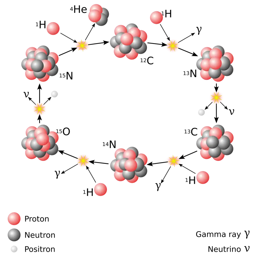 La carte Cycle carbone-azote-oxygène