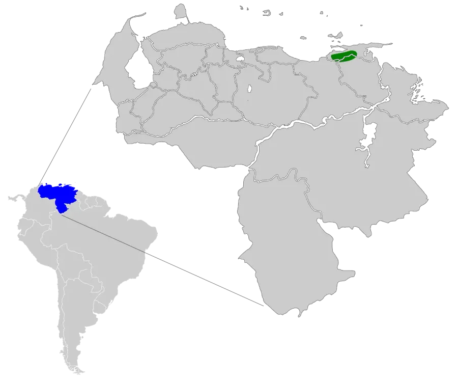 La carte Sylphe du Venezuela