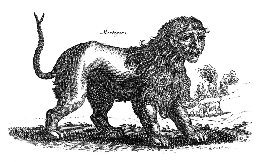 La carte Manticore