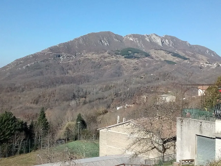 La carte Collegiove