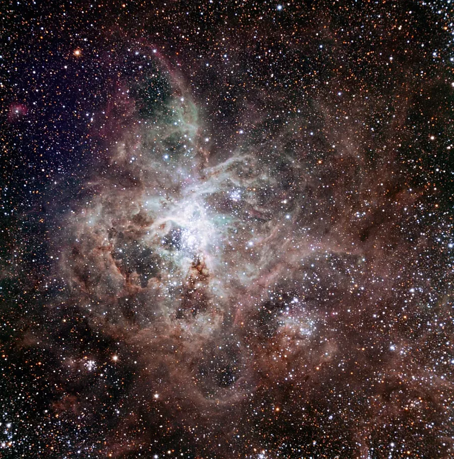 The Tarantula Nebula card