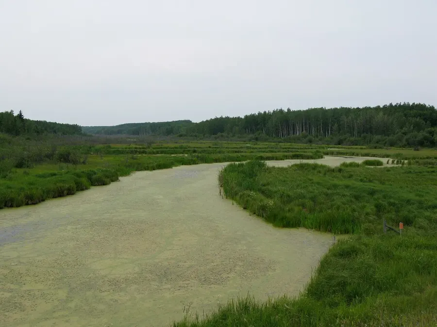 La carte Rivière Beaver