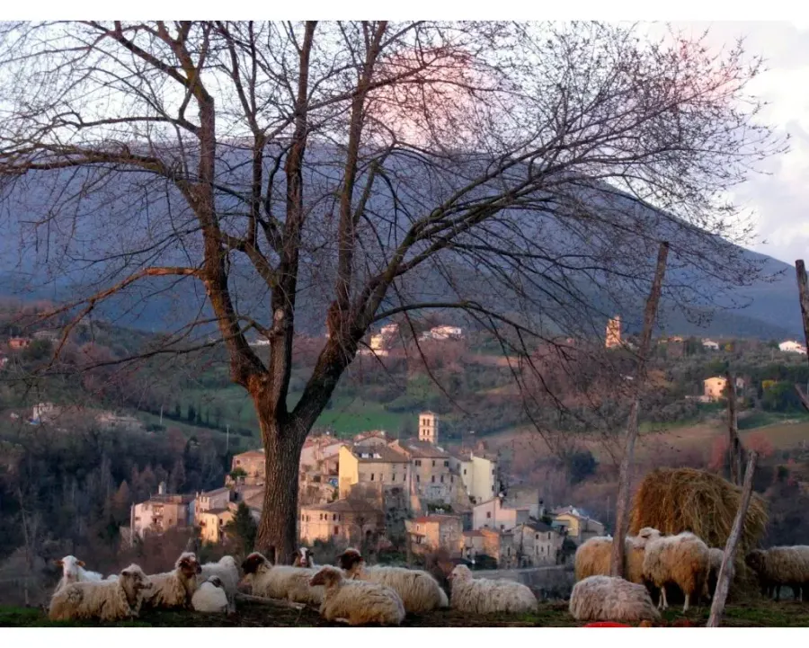 La carte Tarano