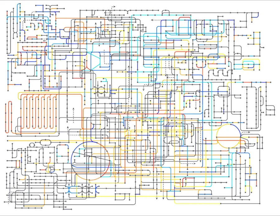 The Metabolic network card