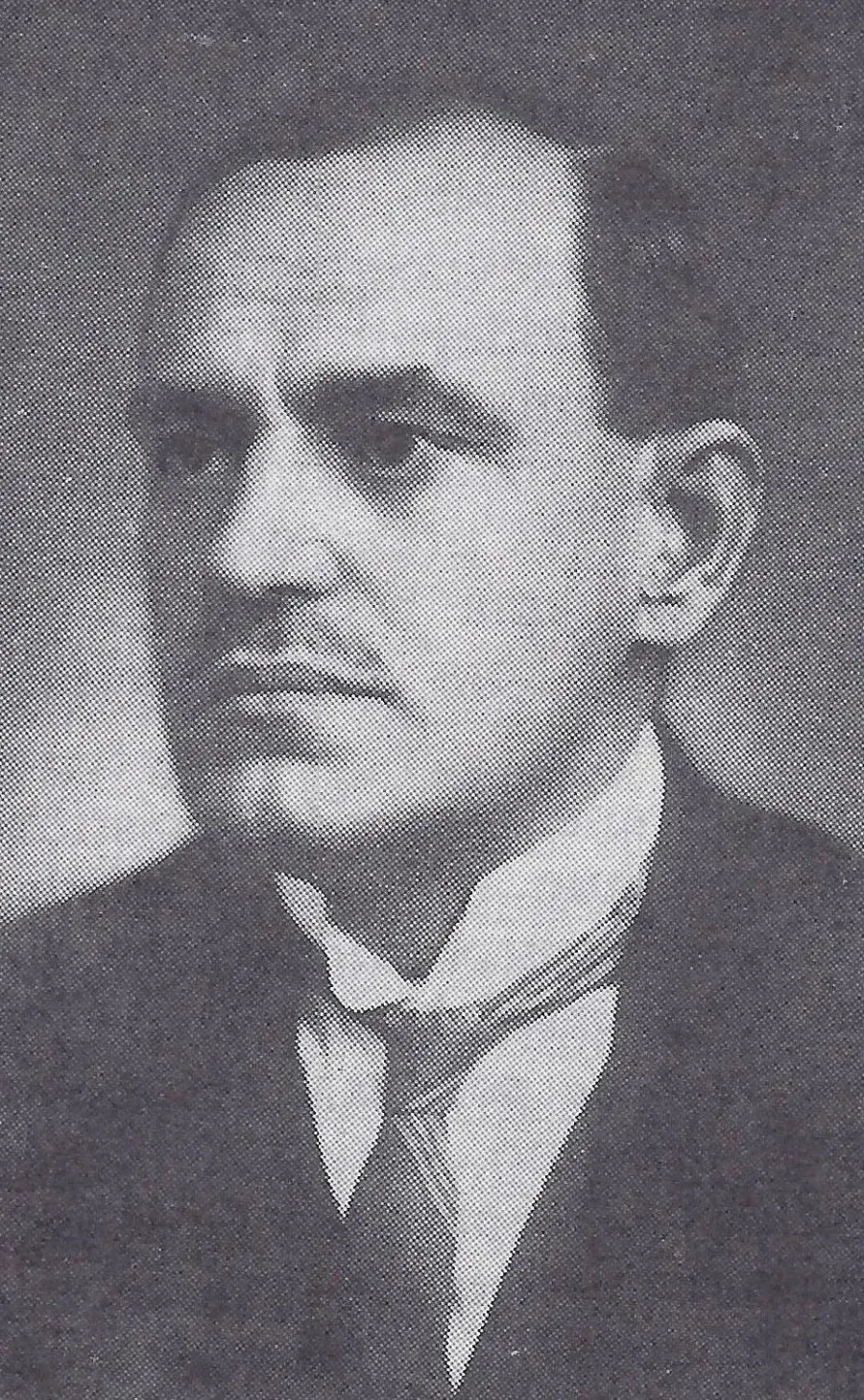 The Svetozar Pribićević card