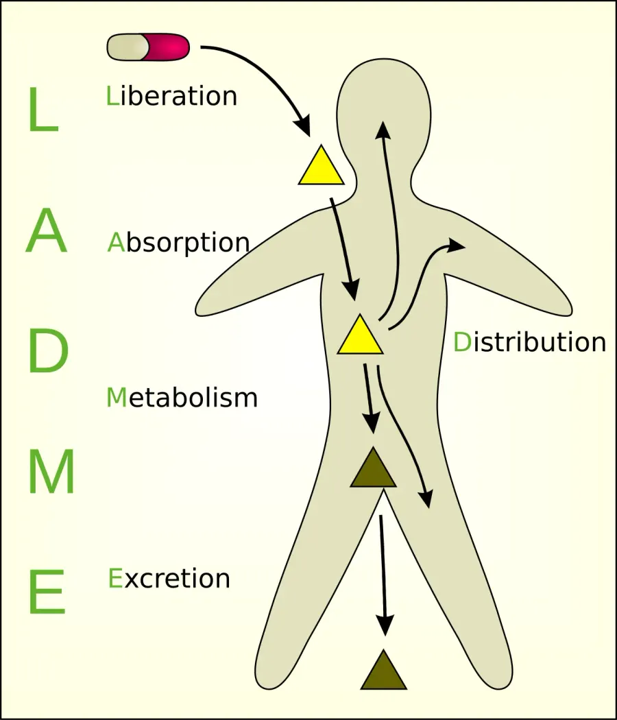 La carte ADME