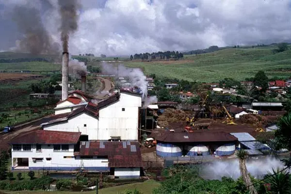 The Sugar industry card