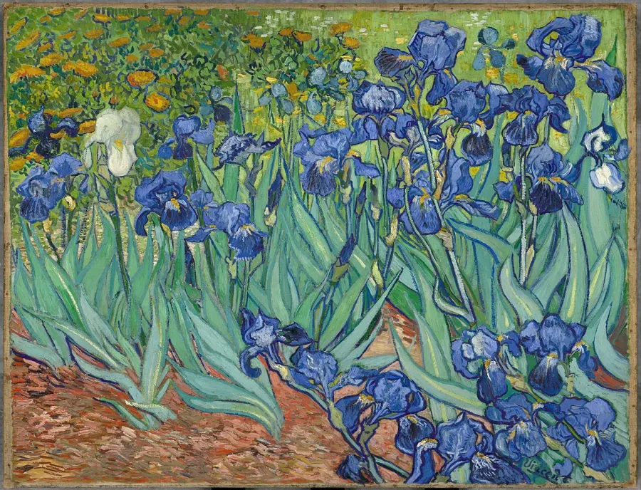 La carte Iris