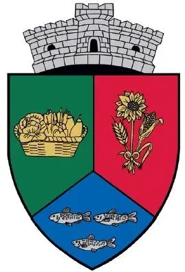 The Vișani card