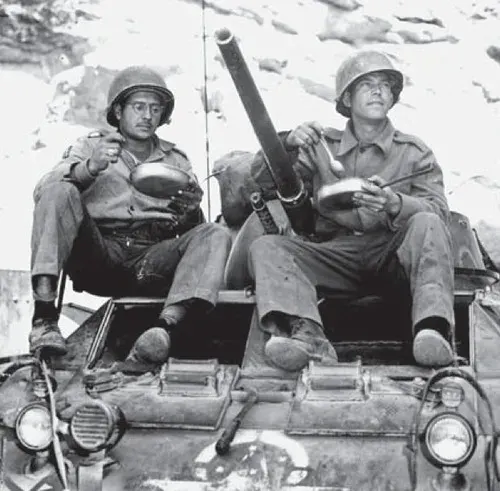 The Brazilian Expeditionary Force card