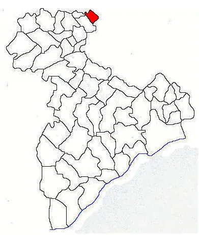 The Săbăreni card