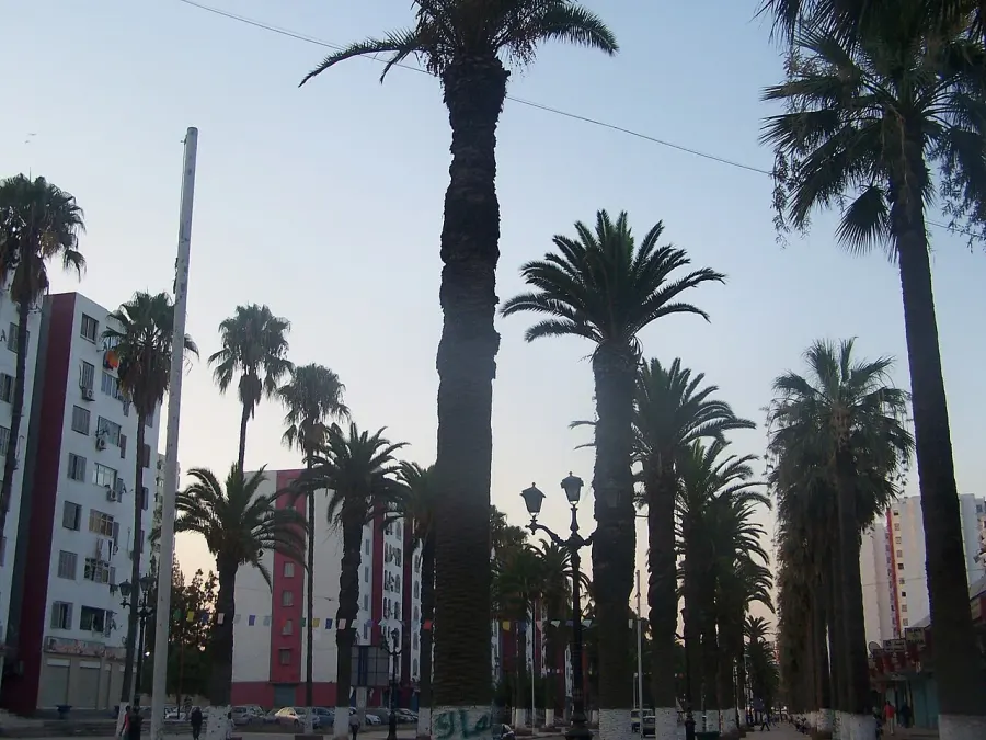 The Skikda card