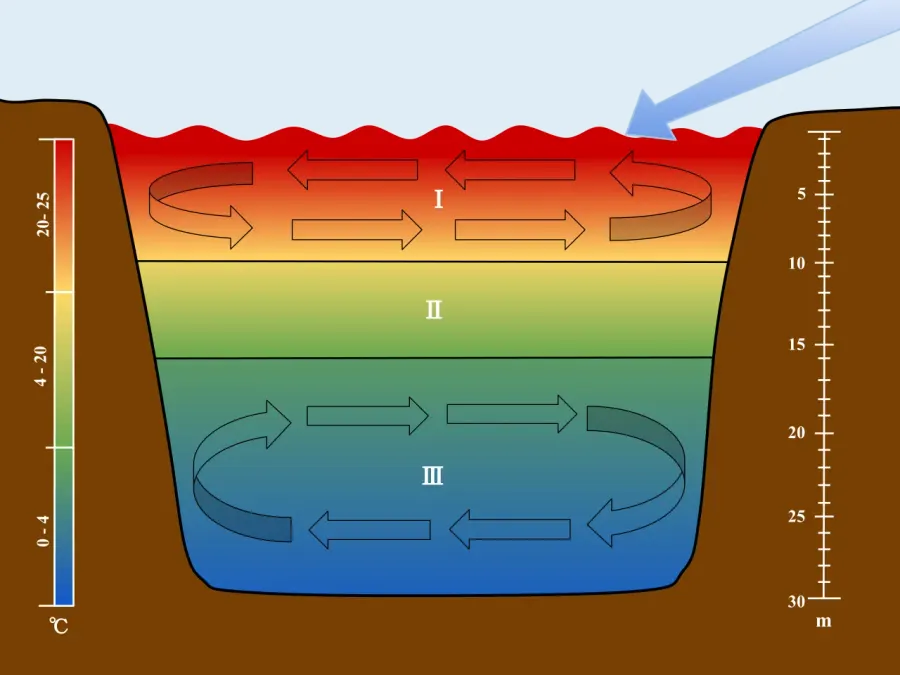 The Lake stratification card