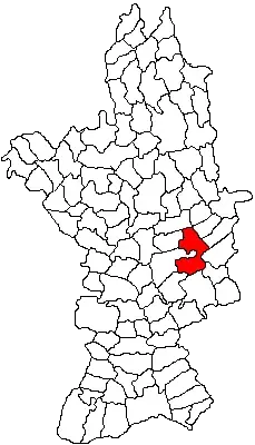 The Stoicănești card