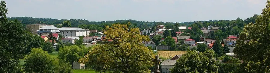 La carte Wąwolnica
