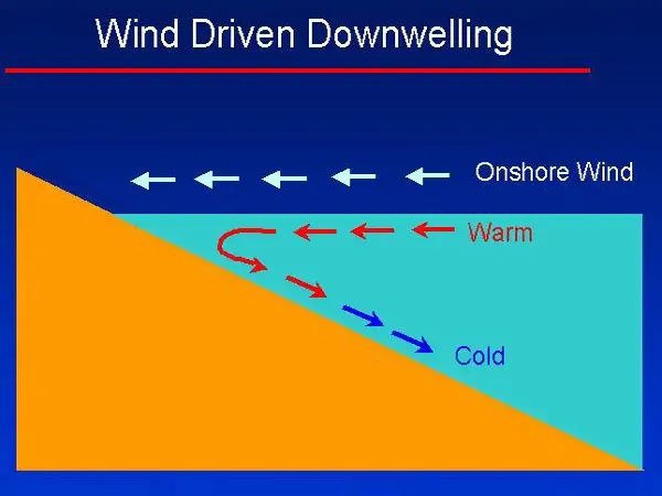 The Downwelling card