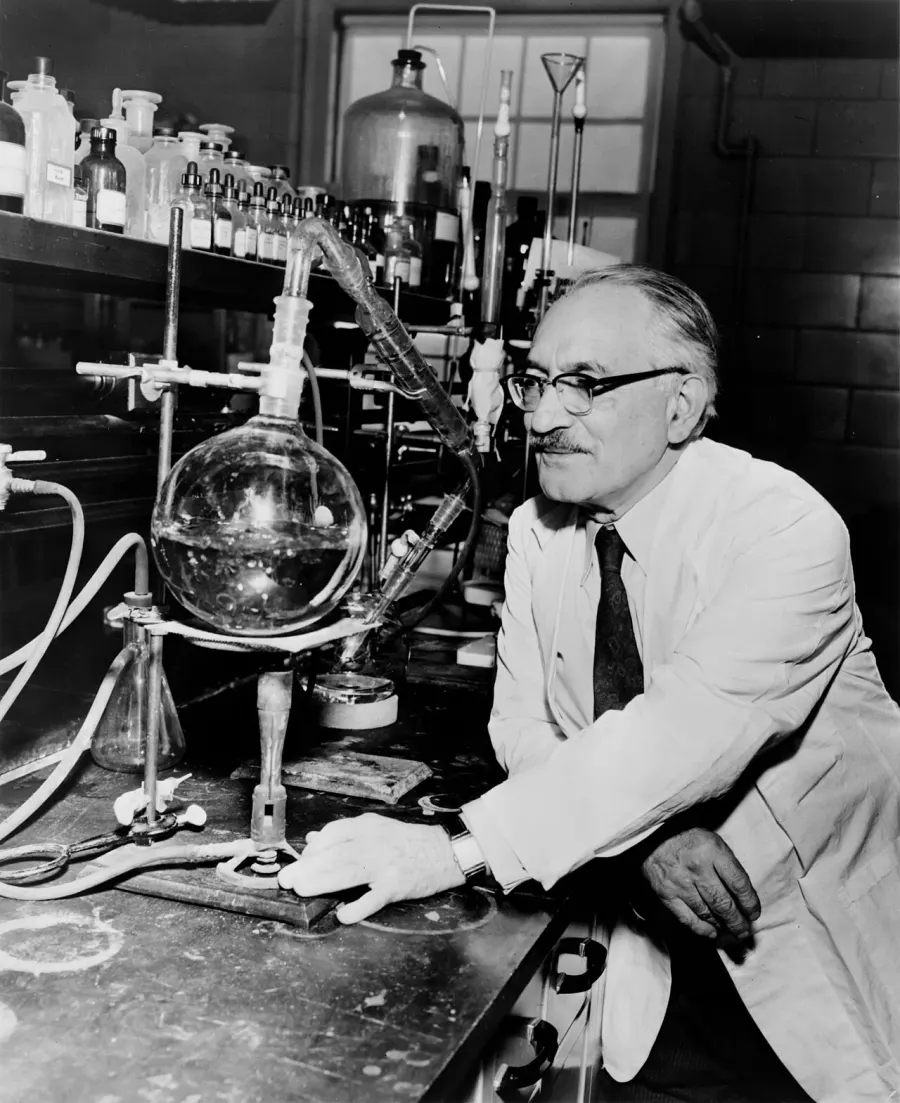 La carte Selman Waksman