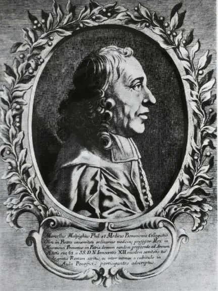 La carte Marcello Malpighi