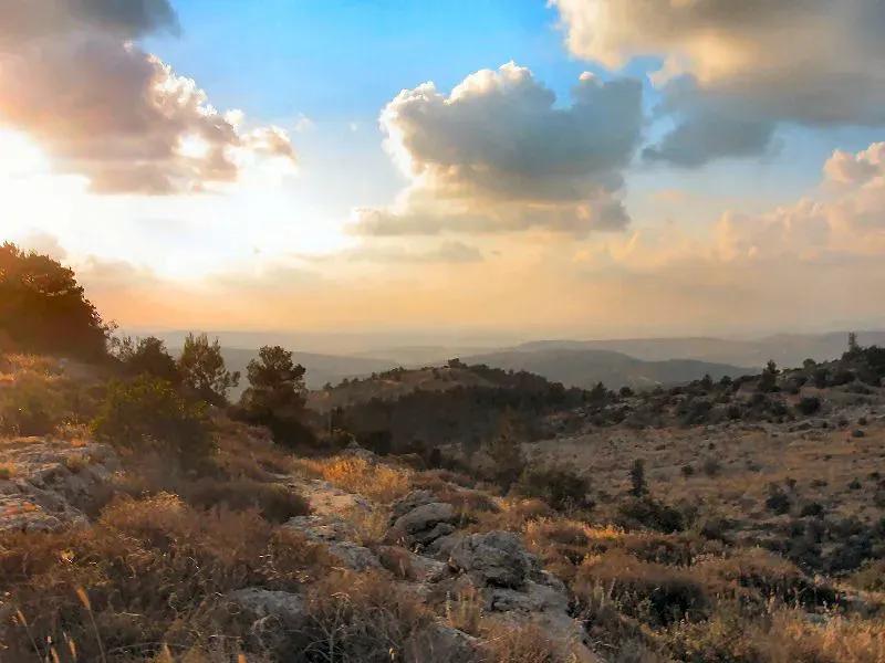 The Judaean Mountains card