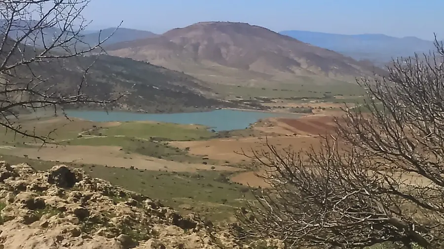 La carte Wilaya de Tiaret