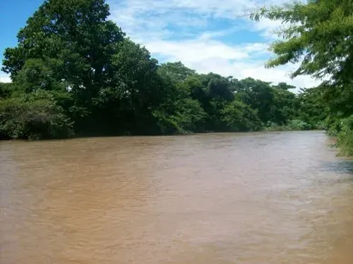 The Cesar River card